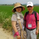 낙천농장 이미지