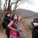 서울숲에서 남산숲길로... 한겨울 봄날처럼 걸은 길... (진행자 후기) 이미지