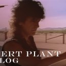 Big Log - Robert Plant 이미지