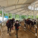 영광승마장 이미지