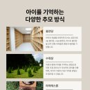 아마레펫 이미지