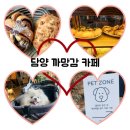 담양 추월산카페 [까망감] 애견동반으로 다녀온 내돈내산후기