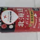 지에스25삼송세솔로점 | 홋카이도 하이볼 가라나맛