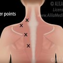양촌한의원 이미지
