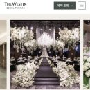 웨스틴힐 | 웨스틴 파르나스 웨딩 베뉴 투어 후기 26년 하반기 견적, 호텔 특전 (인터컨티넨탈 코엑스)