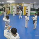 강한 태권도 이미지