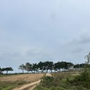 언덕침소 이미지