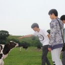 용준목장 이미지