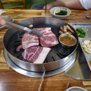 생고기가