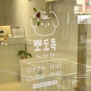뽀도독(for the dog) | 창원 안민동 애견미용 추천! 뽀도독(for the dog)