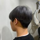 정교호헤어리더 이미지