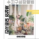 경이신발 | 용인 수지 사진관 세상의 모든 사진 세돌 촬영 후기