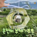 온전히 | 원주 내돈내산 부케 답례품 도어벨 추천 온전히 부케말리기 부케기프트 후기
