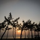 아미가 펜션 이미지