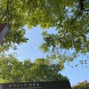 남한강자전거길 19 이미지