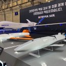 LIG 넥스원 앞 횡단보도(넥스원 쪽) | 2025 드론쇼코리아 후기 (KAI,LIG넥스원,대한항공 등)