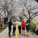 비내섬스케치 이미지