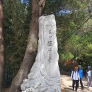 장산공원 | [등산_1]등린이의 장산구립공원 &#34;장산&#34; 등산 후기!