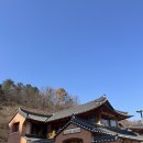 만나베이커리 | [세종 만나밀베이커리] 고운동 한옥카페 방문후기