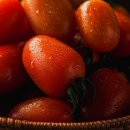 달코미상회 이미지