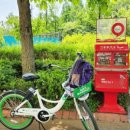 우면산5-14 | 봄에 걷기 좋은 서울둘레길 추천 🌸 4월 벚꽃·5월 때죽나무 꽃길·탄천 들꽃 코스 총정리