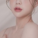 분당-381 이미지