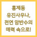 유진사우나 이미지