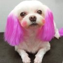 동네미용실 이미지