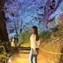 충청남도 역사박물관 이미지