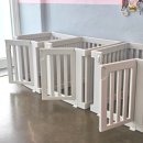 전주애견유치원 몽카롱 이미지