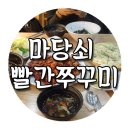 빨간쭈꾸미 이미지