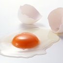 나의 샌드위치 이미지