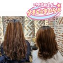 에이바 헤어 민락점 | 의정부민락미용실 시세이도 제품 쓰는 살롱드프롬의정부점 (내 돈 내산)