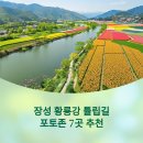 황룡강 생태공원(옥외1) | 장성 황룡강 튤립길 포토존 후기