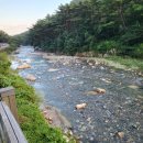 GS25 울산작천정점 이미지