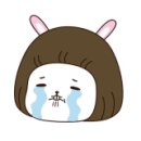 한국애견용품연구소 이미지