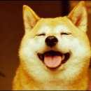 룰루랄라 이미지