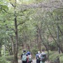 영원암샘 이미지