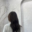 블레스헤어샵