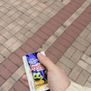 남원로527번길 | 31주 임산부 일상과 만삭촬영후기(내가 사진을 이렇게 자주 찍은 일이 있던가..)