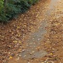 연세견우정형외과의원 이미지