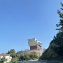 마르용화 이미지