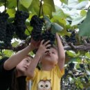 영동체육관 이미지