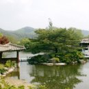 호연지기 관광농원 이미지