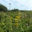 곰배스테이 이미지