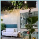 낭만고양이(운정점) 이미지