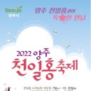 천일홍축제 이미지