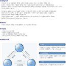 맨투맨영어교육