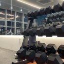 더 케어핏 이미지