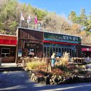 솔향수목원(방문자쉼터) 이미지